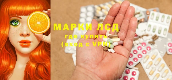 ECSTASY Липки