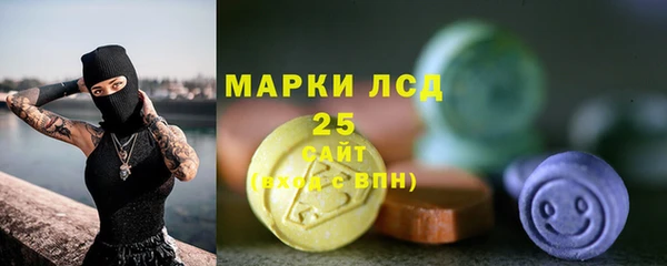 ECSTASY Липки