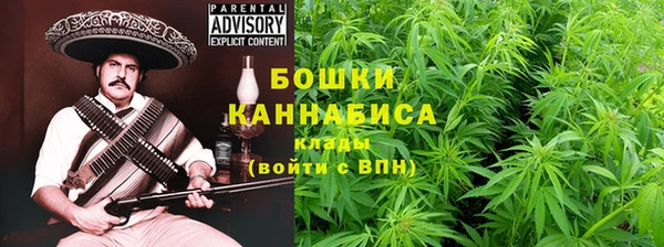 ECSTASY Липки