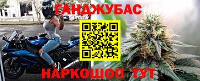 эйфоретик Кингисепп