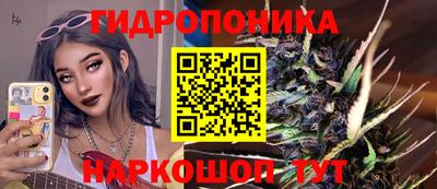 эйфоретик Кингисепп
